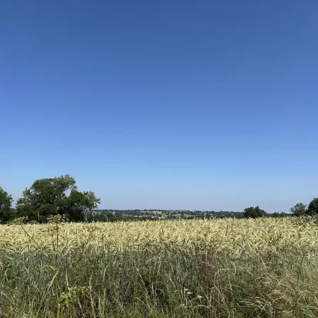 Semesterbostad Moderne Et Confortable Au Coeur De L'allier - Fr-1-489-582
